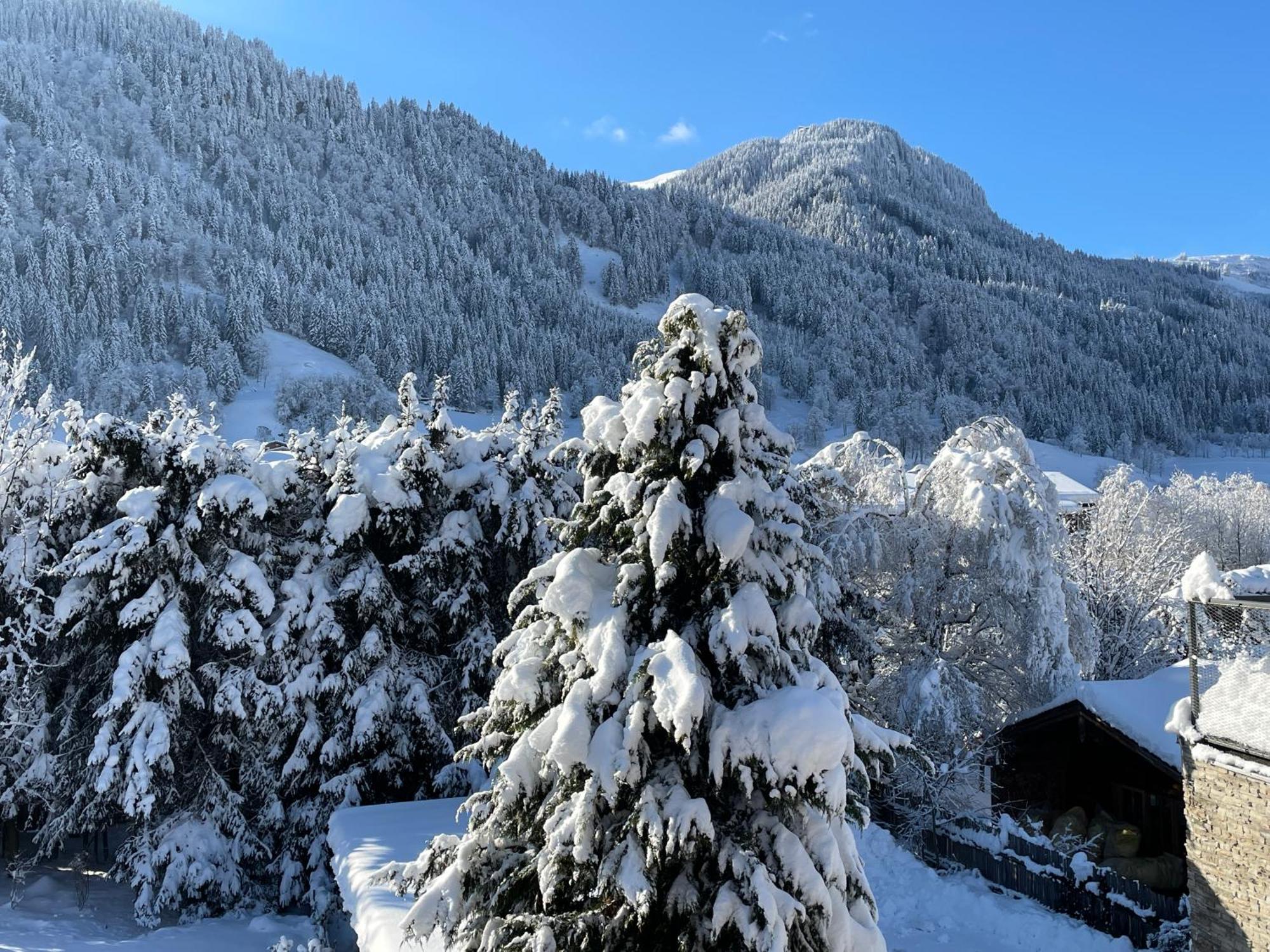Bacherwiese Penthouse By Alpine Host Helpers كيتزبوهيل المظهر الخارجي الصورة